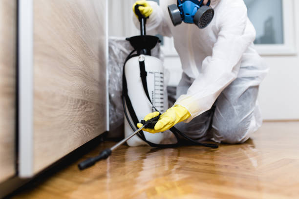 Best Pest Prevention Services  in Eagle Crest, OR