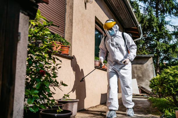 Best Mosquito Control Services  in Eagle Crest, OR