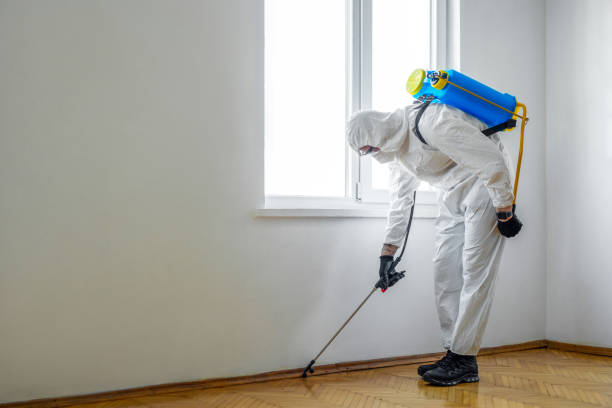 Best Best Pest Control Companies  in Eagle Crest, OR