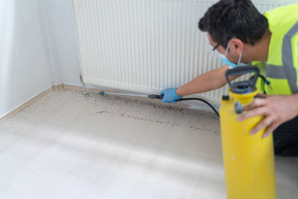 Reliable Eagle Crest, OR Pest Control Solutions
