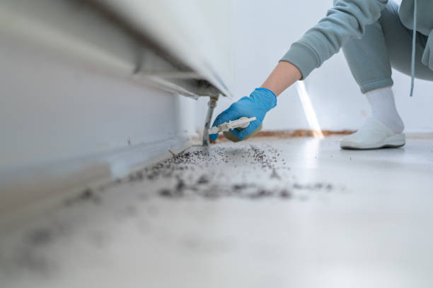 Pest Control for Restaurants in Eagle Crest, OR